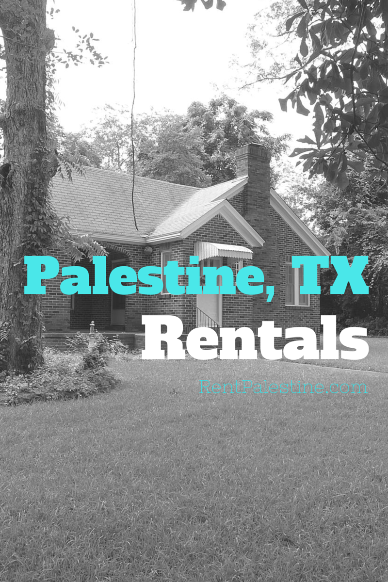 Palestine TX Rentals My Openings as of December 1, 2015