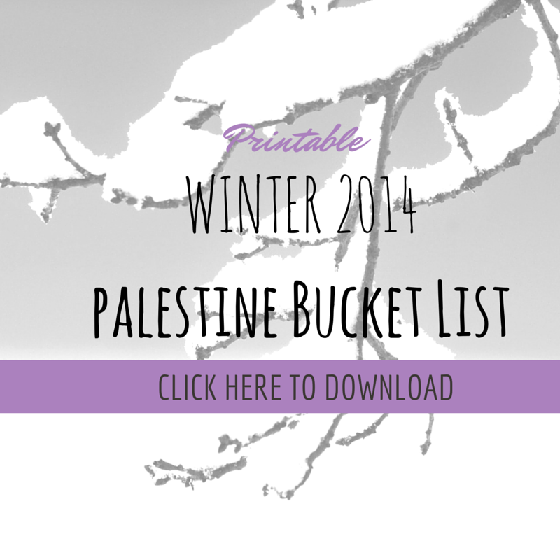 WINTER 2014 BUCKET LIST DOWNLOAD