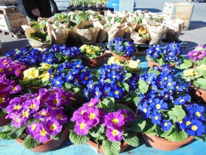 palestine tx plant and flower market