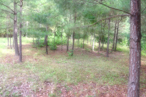 Country Cabin For Sale in Neches, TX