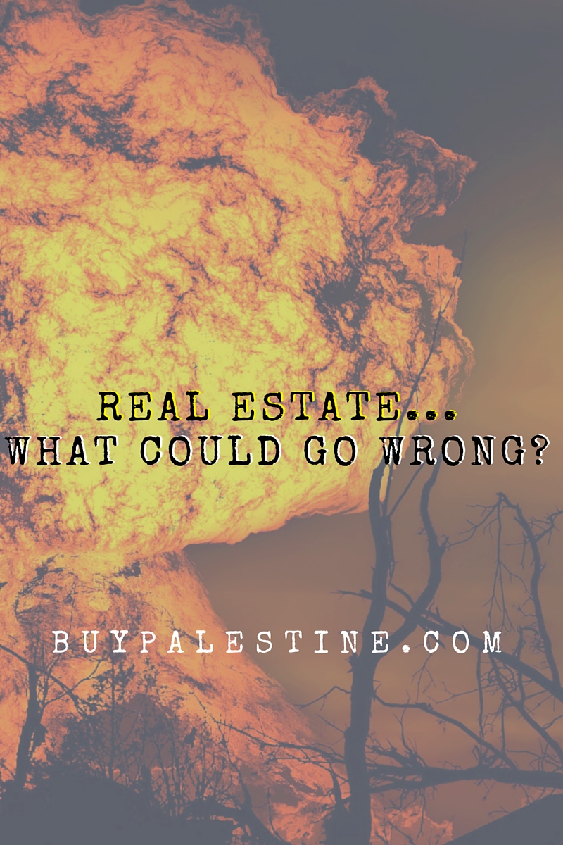 Real Estate...What Could Go Wrong?