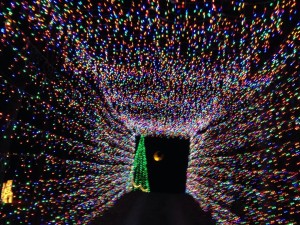 Driving through one of the light tunnels at the Christmas Land of Lights! (personal photo)
