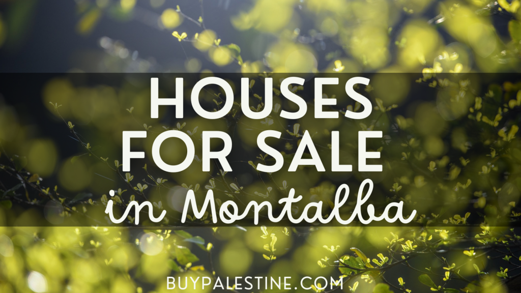 Houses for sale in Montalba Texas Buy Palestine Real Estate